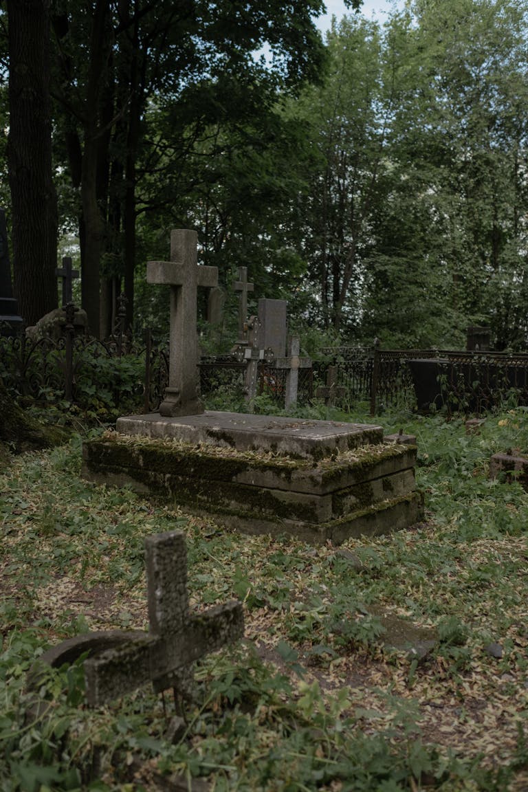 An atmospheric image of an old graveyard with moss-covered tombstones amidst dense forest.