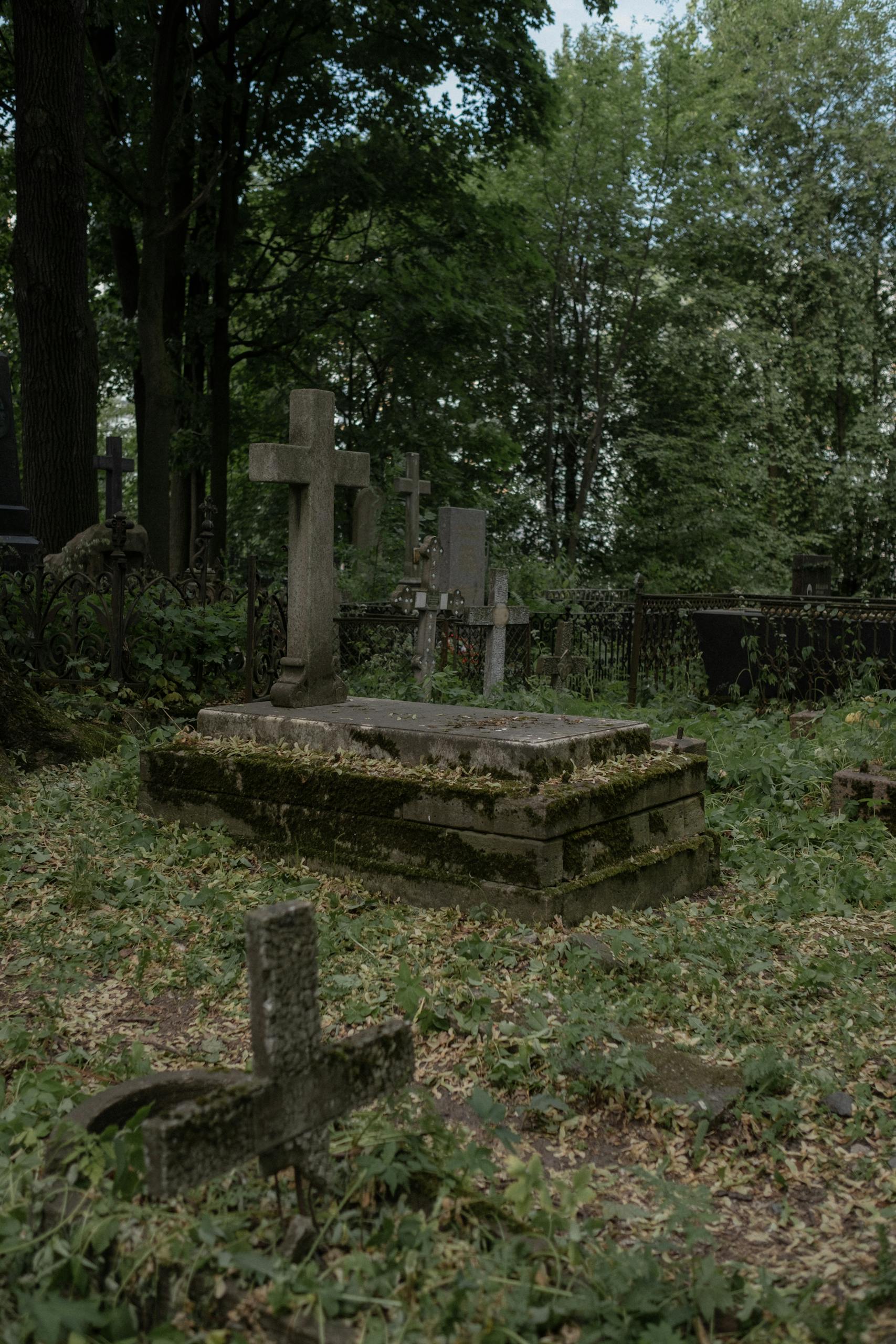 An atmospheric image of an old graveyard with moss-covered tombstones amidst dense forest.