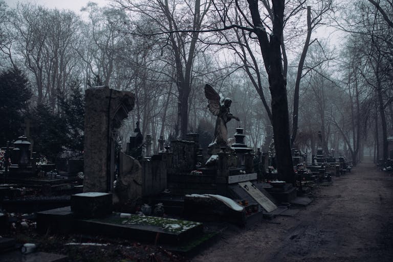 Foggy cemetery scene with bare trees and tombstones creating a somber and mysterious atmosphere.