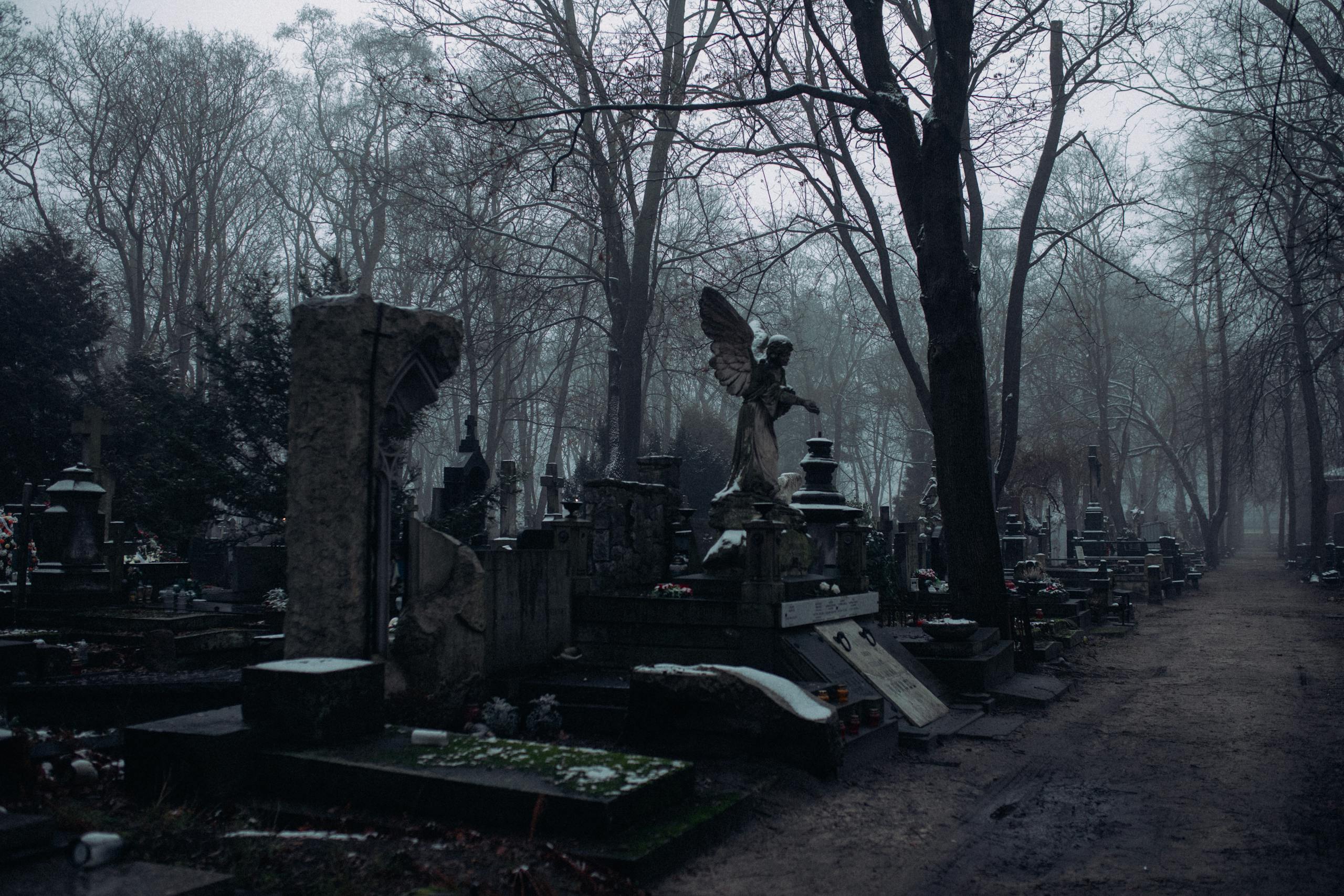 Foggy cemetery scene with bare trees and tombstones creating a somber and mysterious atmosphere.