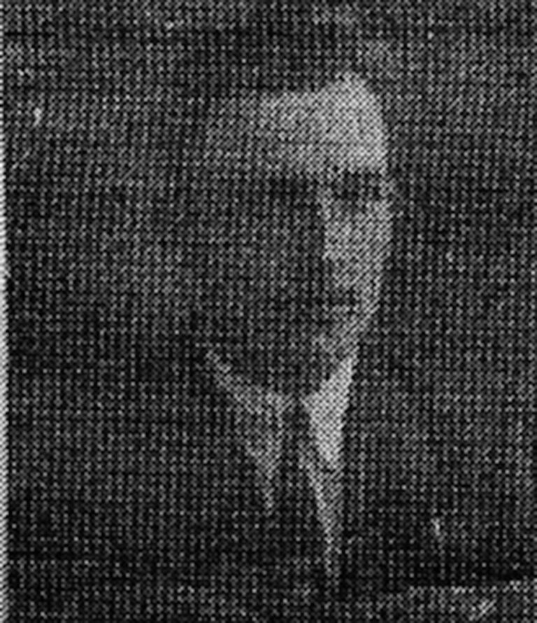 Władysław Goliński