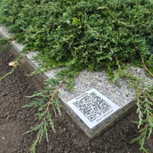 Tabliczki QR Wieczny Kod, które upamiętniają zmarłych.